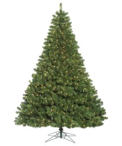 12' X 86" Oregon Fir Dura-Lit 2400Cl