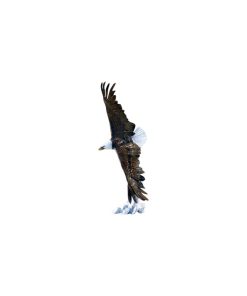 Vigilance Eagle Small Sculpture