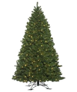 6.5' X 50" Oregon Fir Outdoor Wa 600Ww