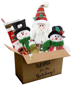 196-piece Home for the Holidays Traditional Ornament and Decor Set