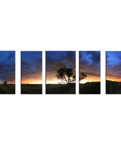 5 Piece Landscape Photography Artwork