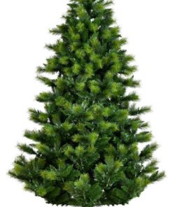 14' X 99" Elkin Mixed Pine 6681T