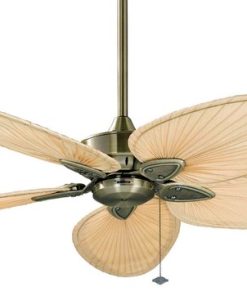 Windpointe 52" Fan, Antique Brass, Palm Blades