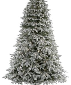 7.5' Cambridge Fir Christmas Tree / 800 Clear Warm (Multifunction) LED Lights
