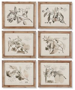 6-Piece Fruit Bearing Branch Illustrations Set