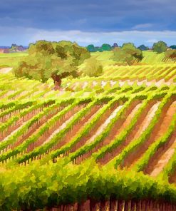 Wine Country Rows, 36"x24"