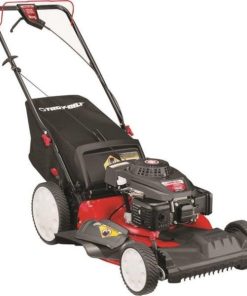 Troy-Bilt 12AVB2M5766 TB220 Walk-Behind Lawn Mower, 21"
