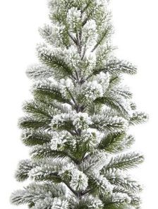 7' Oregon Spruce Christmas Tree / 850 Warm White Microdot LED Lights