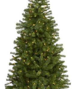 7' Flocked Colorado Mountain Fir Christmas Tree/700 Warm Microdot LED Lights