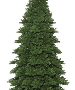 6' X 54" Oregon Tree Top Dura-Lit 900Mu