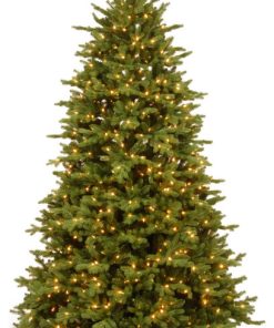 7.5' Powerconnect Princeton Deluxe Fraser Fir With Dual Color LED Lights