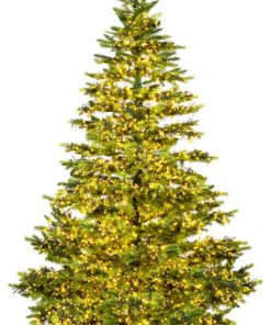 Takoma Frasier Fir Christmas Tree , Warm White or Multi-colored, 9'